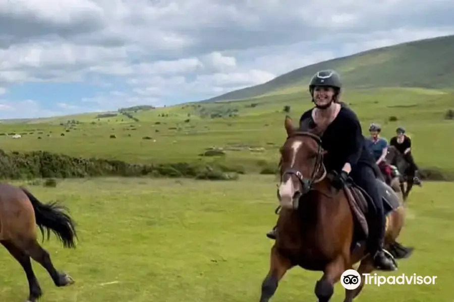 Trans Wales Trails