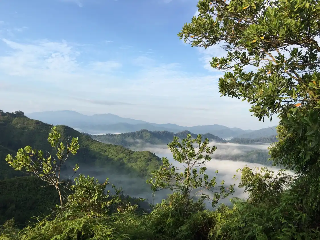 Hotels near Bukit Panorama (Peak) Sungai Lembing