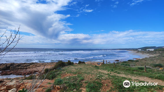 Basilica Paleocristiana de Son Bou