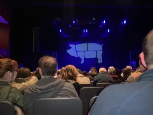TF Royal, Castlebar Events Theatre
