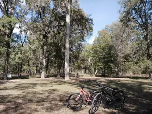 Stephen F. Austin State Park