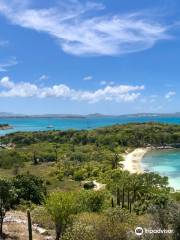 Great Bird Island