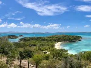 Great Bird Island