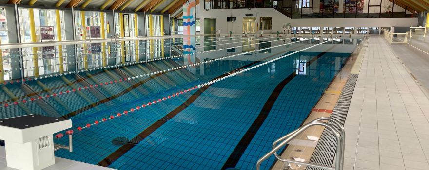 Les Dauphins