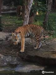 ウボンラーチャターニー動物園