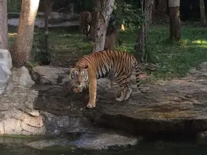 Ubon Ratchathani Zoo