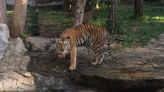 ウボンラーチャターニー動物園