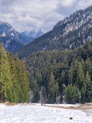 Alpine Coaster Oberammergau