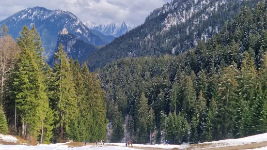 Alpine Coaster