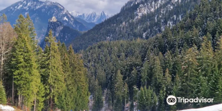 Alpine Coaster Oberammergau