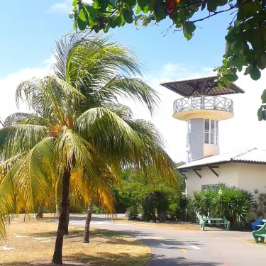 13 de Julho Promenade and viewing tower