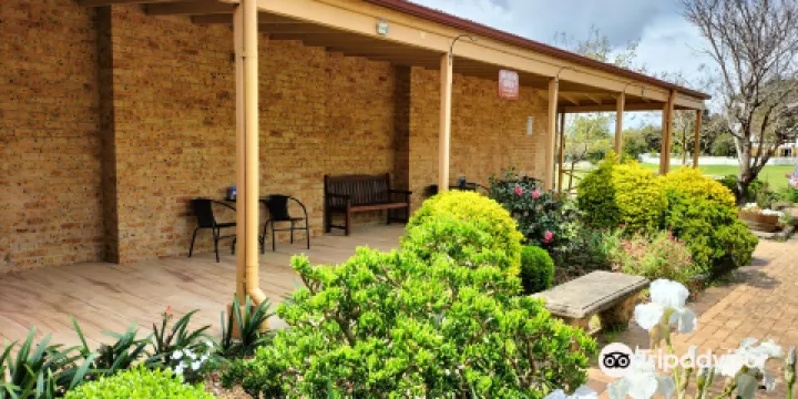 Liverpool Regional Museum