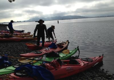 Columbia River Kayaking Day Tours