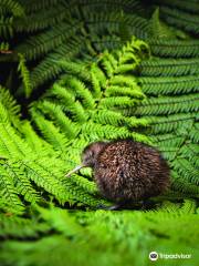 The National Kiwi Hatchery