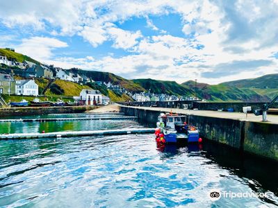 Gardenstown Harbour Trust