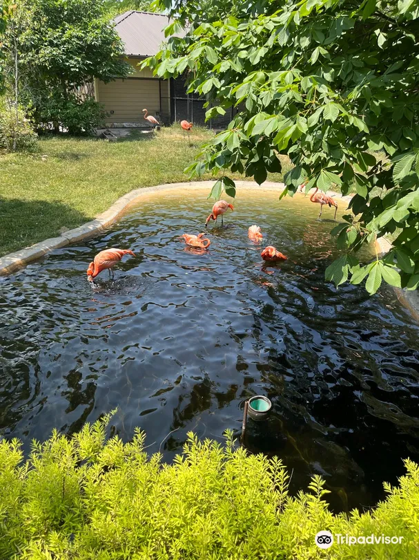 4_Indianapolis Zoo