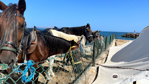 Rancho Ca'n Picafort