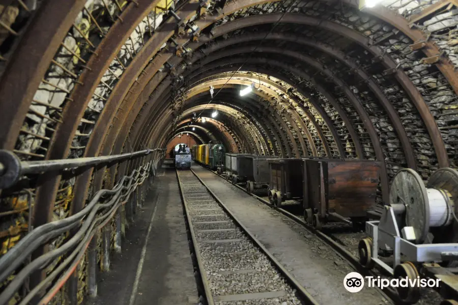 Coal Mine Museum