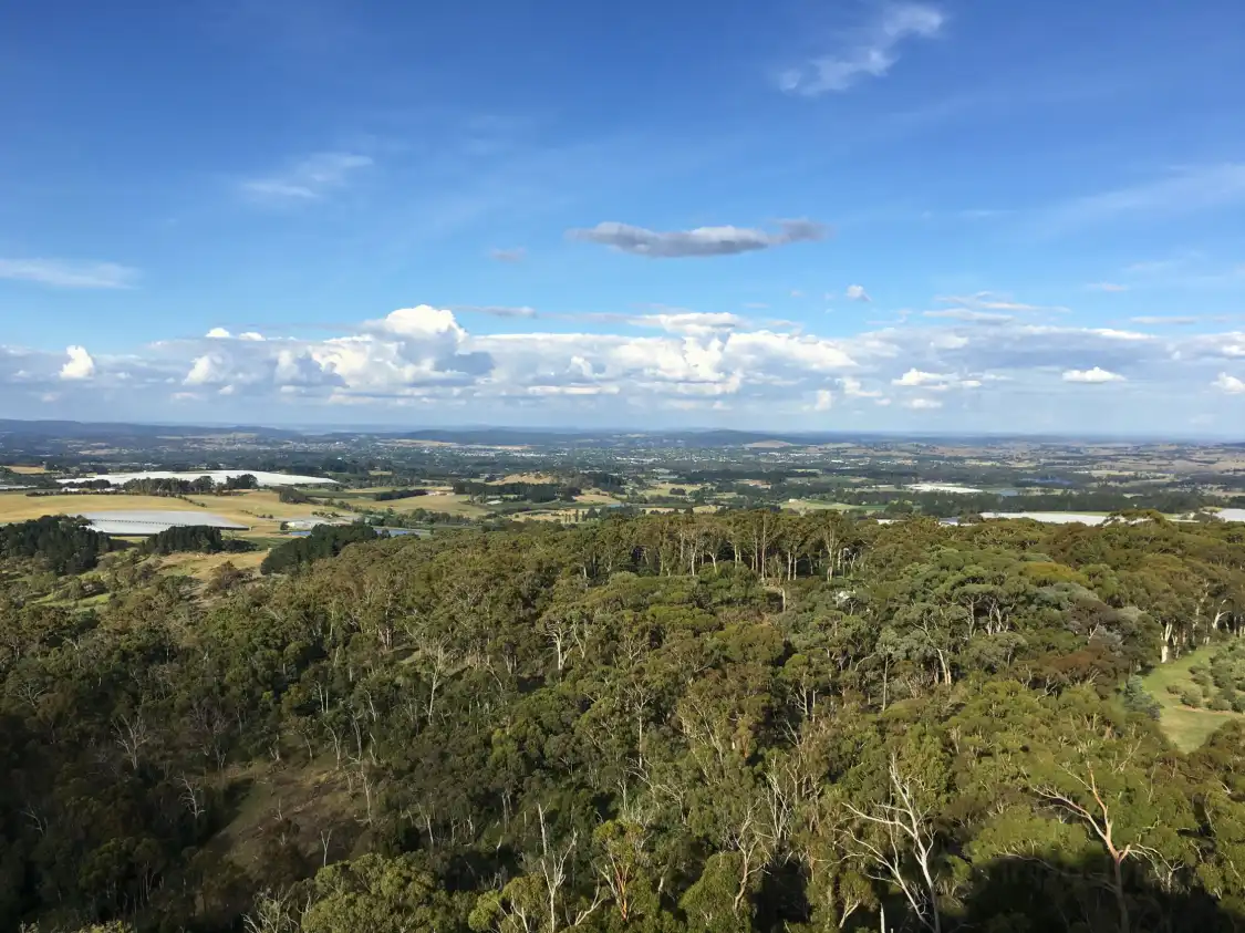 Hotels near Pinnacle Lookout