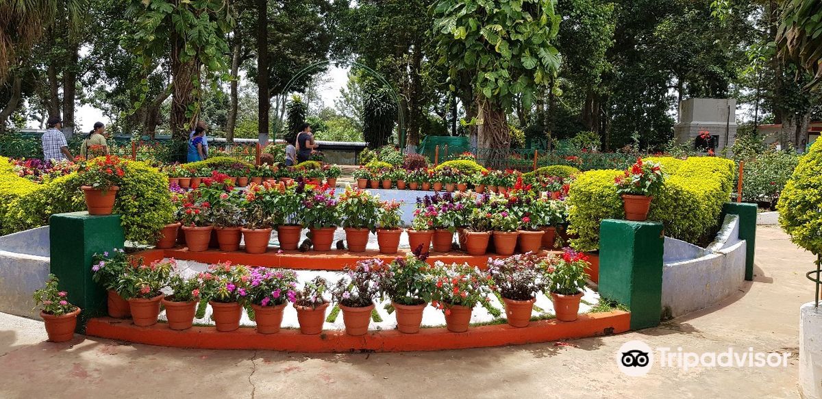 Anna Park Yercaud
