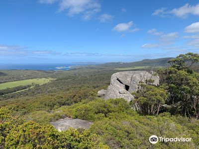 Monkey Rock