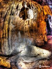 Cutta Cutta Caves Nature Park