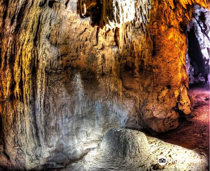 Cutta Cutta Caves Nature Park