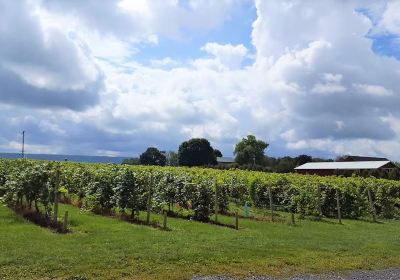 Happy Valley Vineyard and Winery