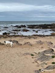 Westport Beach