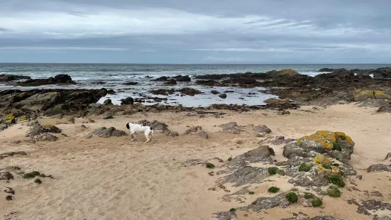 Westport Beach