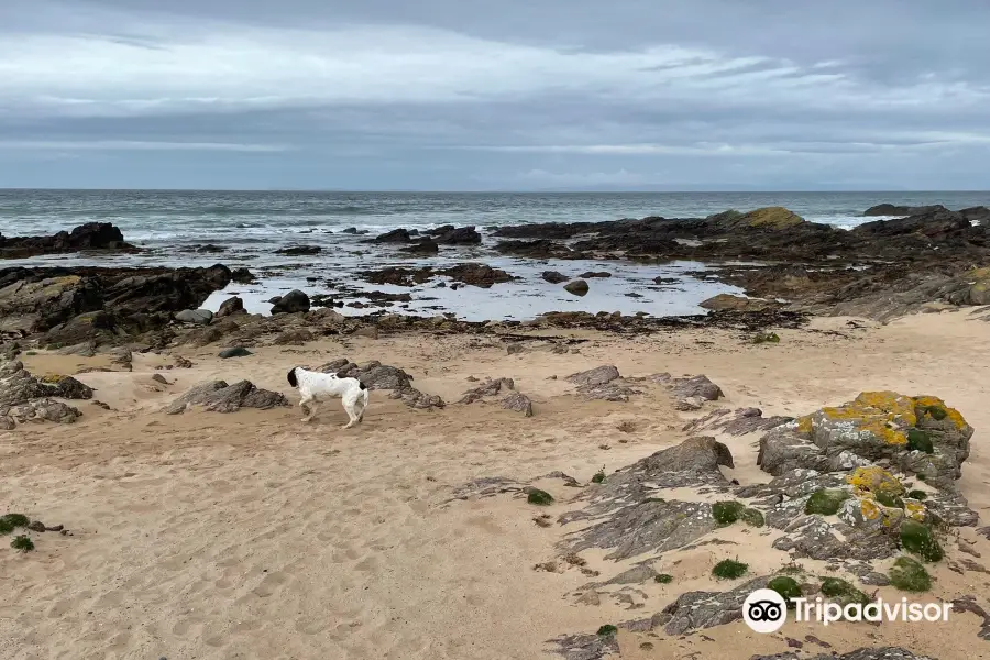 Westport Beach