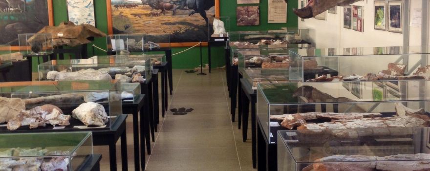 Museum of Paleontology