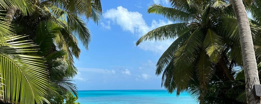 Cocos (Îles)