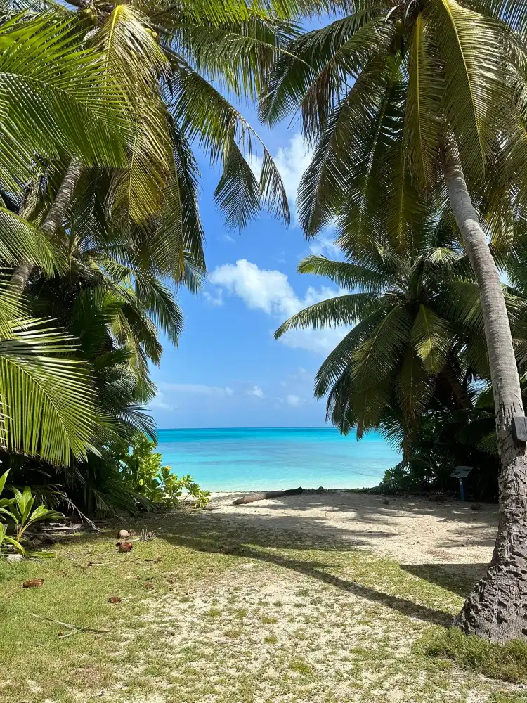 Hotels near Paradise Beach