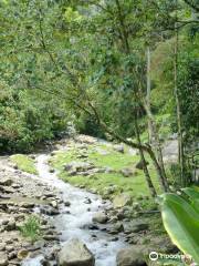 Parque Ecológico El Salado