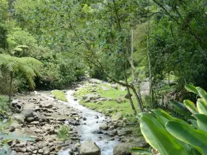 Parque Ecológico El Salado