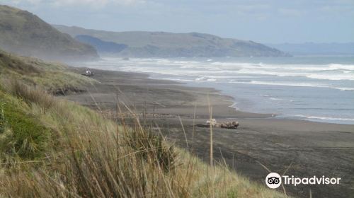 Ruapuke Beach