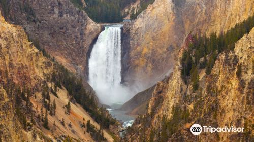 Yellowstone River