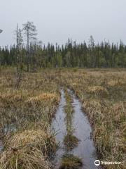 Ruijanpolku Trail