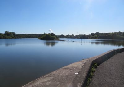 Townhill Country Park