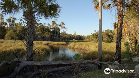 Crystal River Preserve State Park