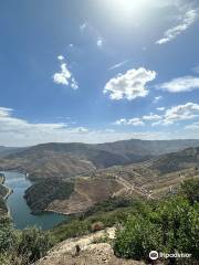 Miradouro de São Salvador do Mundo