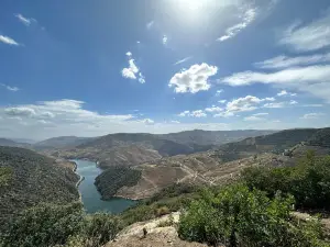 Miradouro de São Salvador do Mundo