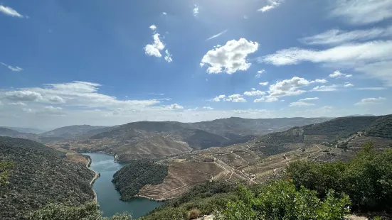 Miradouro de São Salvador do Mundo