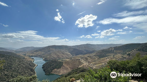 Miradouro de São Salvador do Mundo