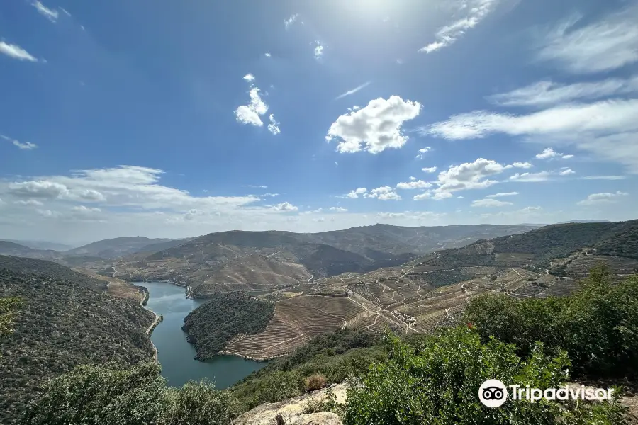 Miradouro de São Salvador do Mundo