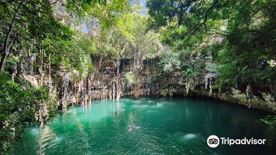 Yokdzonot Cenote