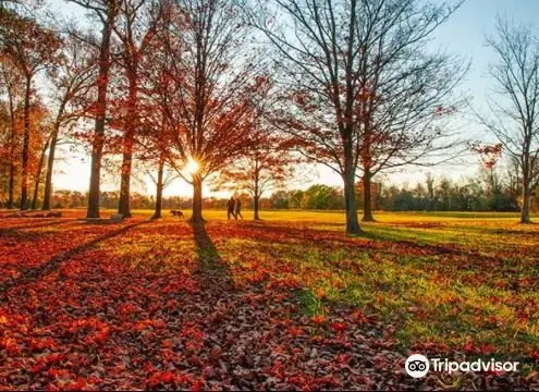 Bellevue State Park