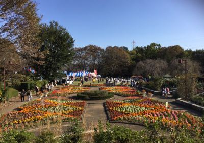 Chikozan Park