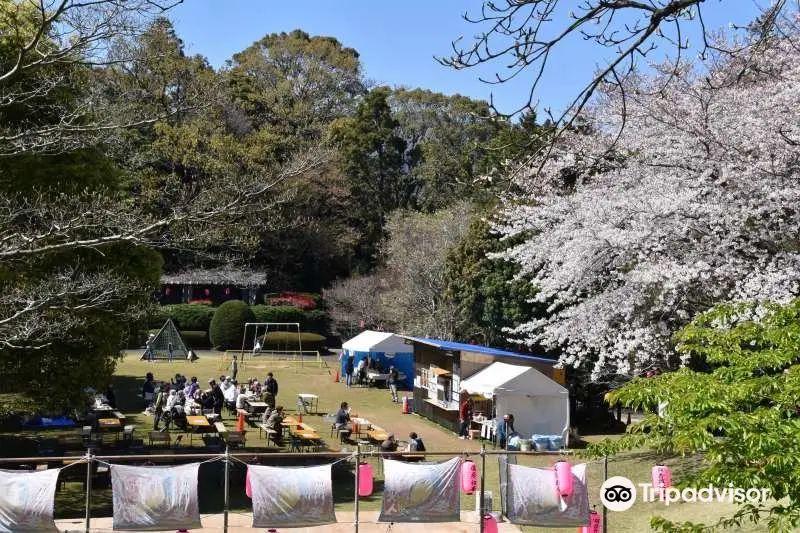 荒井城址公園